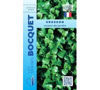 Sachet de graines de Cresson vivace de jardin - 5 g - légume feuille - LES GRAINES BOCQUET