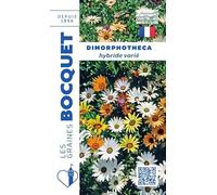 Sachet de graines de Dimorphothéca Hyb varié - 1 g - fleur annuelle - LES GRAINES BOCQUET