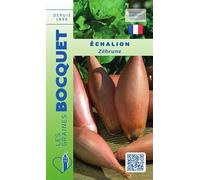 Sachet de graines de Echalion Zébrune - type cuisse de poulet - 1 g - légume racine - LES GRAINES BOCQUET