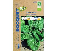 Sachet de graines de Epinard géant d'hiver Bio- certifié ECOCERT FR-BIO-01-10 g - légume feuille - LES GRAINES BOCQUET