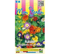 Sachet de graines de Fleurs grimpantes en mélange - 5 g - LES GRAINES BOCQUET