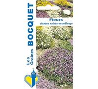 Sachet de graines de Fleurs naines vivaces en mélange - 0,5 g - fleur vivace - LES GRAINES BOCQUET
