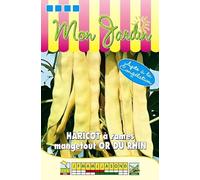 Sachet de graines de Haricot à rames beurre Or du Rhin - 100g - 100 g - haricot rames beurre - LES GRAINES BOCQUET