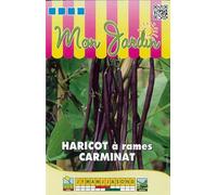 Sachet de graines de Haricot à rames Carminat - 70g - 70 g - Haricot rames mangetout - LES GRAINES BOCQUET