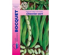 Sachet de graines de Haricot nain à écosser flageolet chevrier vert 115g - 115 g - Haricot nain à écosser - LES GRAINES BOCQUET