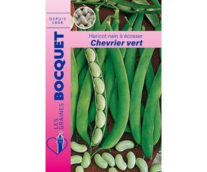 Sachet de graines de Haricot nain à écosser flageolet chevrier vert 115g - 115 g - Haricot nain à écosser - LES GRAINES BOCQUET