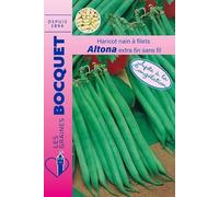 Sachet de graines de Haricot nain à filet Altona - 70g - 70 g - Haricot nain à filets sans fil - LES GRAINES BOCQUET