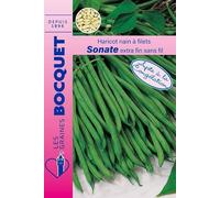 Sachet de graines de Haricot nain à filet extra fin Sonate - 60g - 60 g - Haricot nain à filets sans fil - LES GRAINES BOCQUET