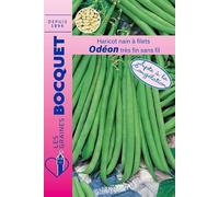 Sachet de graines de Haricot nain à filet Odéon 70g - 70 g - Haricot nain à filets sans fil - LES GRAINES BOCQUET