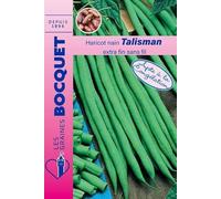 Sachet de graines de Haricot nain à filet Talisman 70g - 70 g - haricot nain extra fin - LES GRAINES BOCQUET