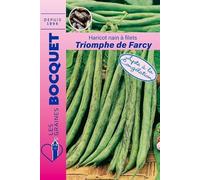 Sachet de graines de Haricot nain à filet Triomphe de Farcy 120g - 120 g - Haricot nain à filets sans fil - LES GRAINES BOCQUET