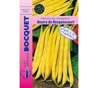 Sachet de graines de Haricot nain beurre de Rocquencourt - 110g - 110 g - Haricot nain beurre - LES GRAINES BOCQUET
