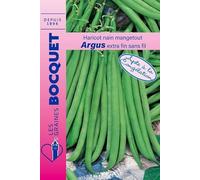 Sachet de graines de Haricot nain mangetout Argus - 60g - 60 g - Haricot nain mangetout - LES GRAINES BOCQUET