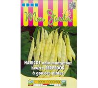 Sachet de graines de Haricot nain mangetout beurre Serpedor à gousses plates 70g - 70 g - Haricot nain beurre - LES GRAINES BOCQUET
