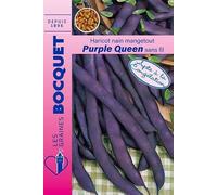 Sachet de graines de Haricot nain Purple Queen 80g (cosses violettes) - 80 g - Haricot nain mangetout - LES GRAINES BOCQUET
