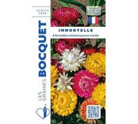 Sachet de graines de Immortelle à bractées monstrueuses variée - 0,8 g - fleur annuelle - LES GRAINES BOCQUET