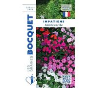 Sachet de graines de Impatiens Hoolstii variée - 0,2 g - fleur annuelle - LES GRAINES BOCQUET