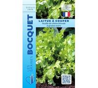Sachet de graines de Laitue à couper feuille de chêne blonde à graine noire - 4 g - légume feuille - LES GRAINES BOCQUET