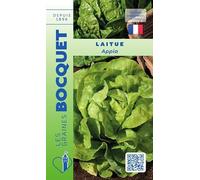 Sachet de graines de Laitue Appia - 3 g - feuille légume - LES GRAINES BOCQUET
