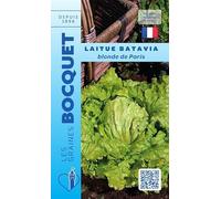 Sachet de graines de Laitue batavia blonde de Paris - 4 g - légume feuille - LES GRAINES BOCQUET