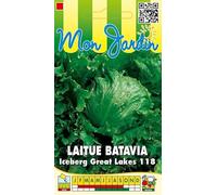 Sachet de graines de Laitue batavia Great Lakes type Iceberg - 3 g - LES GRAINES BOCQUET