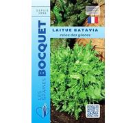 Sachet de graines de Laitue batavia Reine des glaces - 4 g - légume feuille - LES GRAINES BOCQUET