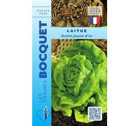 Sachet de graines de Laitue de printemps Gotte jaune d'or - 4 g - légume feuille - LES GRAINES BOCQUET