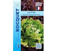Sachet de graines de Laitue de printemps Reine de Mai de pleine terre - 4 g - légume feuille - LES GRAINES BOCQUET