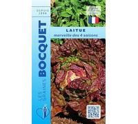 Sachet de graines de Laitue d'été Merveille des 4 saisons - 4 g - légume feuille - LES GRAINES BOCQUET