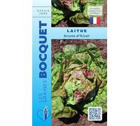 Sachet de graines de Laitue d'hiver Brune d'hiver - 4 g - légume feuille - LES GRAINES BOCQUET