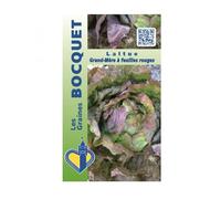 Sachet de graines de Laitue d'hiver Grand-mère à feuilles rouges - 2 g - légume feuille - LES GRAINES BOCQUET