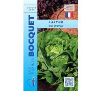 Sachet de graines de Laitue d'hiver Val d'orge - 4 g - légume feuille - LES GRAINES BOCQUET