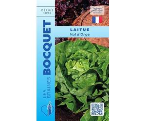 Sachet de graines de Laitue d'hiver Val d'orge - 4 g - légume feuille - LES GRAINES BOCQUET