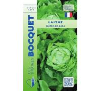 Sachet de graines de Laitue Gotte de Loos - 2 g - légume feuille - LES GRAINES BOCQUET