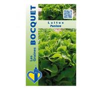 Sachet de graines de Laitue Panisse - 2 g - feuille légume - LES GRAINES BOCQUET