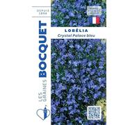 Sachet de graines de Lobélia Crystal Palace bleu - 0,3 g - fleur annuelle - LES GRAINES BOCQUET