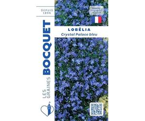 Sachet de graines de Lobélia Crystal Palace bleu - 0,3 g - fleur annuelle - LES GRAINES BOCQUET