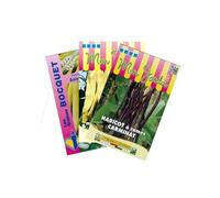 Sachet de graines de Lot de Haricots colorés à rames (3 sachets de graines à semer) - 270 g - LES GRAINES BOCQUET
