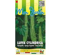 Sachet de graines de Luffa cylindrica (éponge végétale) - 1 g - légume fruit - LES GRAINES BOCQUET