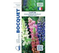 Sachet de graines de Lupin vivace polyphylle de Russel hybride varié - 2 g - fleur vivace - LES GRAINES BOCQUET