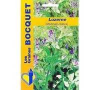 Sachet de graines de Luzerne (Medicago sativa) - 100 g - fleur vivace - LES GRAINES BOCQUET