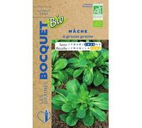 Sachet de graines de Mâche à grosse graine Bio- certifiée ECOCERT FR-BIO-01-3 g - légume feuille - LES GRAINES BOCQUET