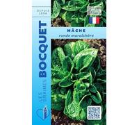 Sachet de graines de Mâche verte ronde maraîchère - 5 g - légume feuille - LES GRAINES BOCQUET