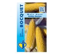 Sachet de graines de Maïs doux sucré Golden Bantam - 10 g - LES GRAINES BOCQUET