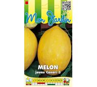 Sachet de graines de Melon Jaune des Canaries - 3 g - légume fruit - LES GRAINES BOCQUET