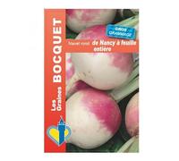 Sachet de graines de Navet de Nancy à feuille entière GROS GRAMMAGE - 18 g - légume racine - LES GRAINES BOCQUET