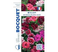 Sachet de graines de Oeillet de Chine double varié - 1,2 g - fleur annuelle - LES GRAINES BOCQUET