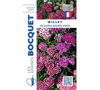 Sachet de graines de Oeillet de poète double varié - 1,5 g - fleur bisannuelle - LES GRAINES BOCQUET