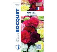 Sachet de graines de Oeillet Enfants de Nice à fleur double varié - 0,4 g - fleur annuelle - LES GRAINES BOCQUET