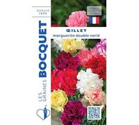 Sachet de graines de Oeillet marguerite annuel varié - 0,5 g - fleur annuelle - LES GRAINES BOCQUET